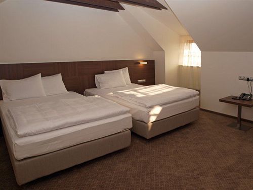 Hotel Budweis צ'סקה בודיוביצה